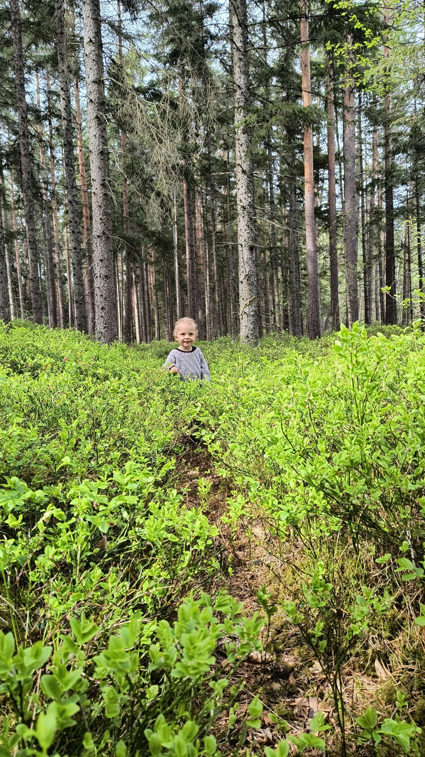 Utforskat området och letat mystiska platser!